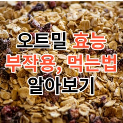 오트밀 효능 5가지와 부작용, 먹는법, 보관방법 알아보기