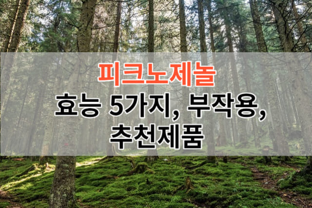 피크노제놀 효능 5가지, 부작용, 추천제품