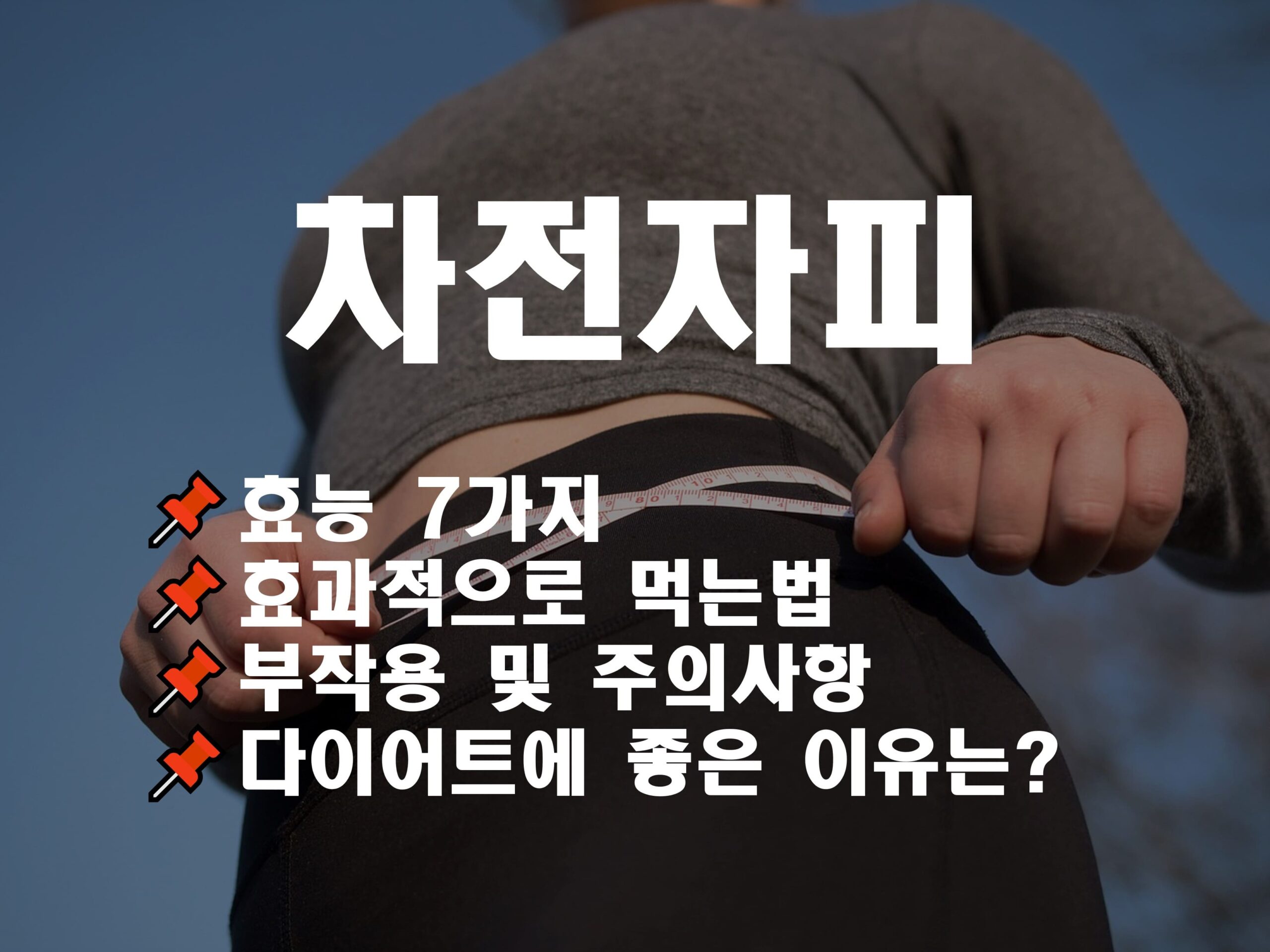 차전자피 효능 7가지 효과적으로 먹는법, 부작용 및 주의사항, 다이어트에 좋은 이유는