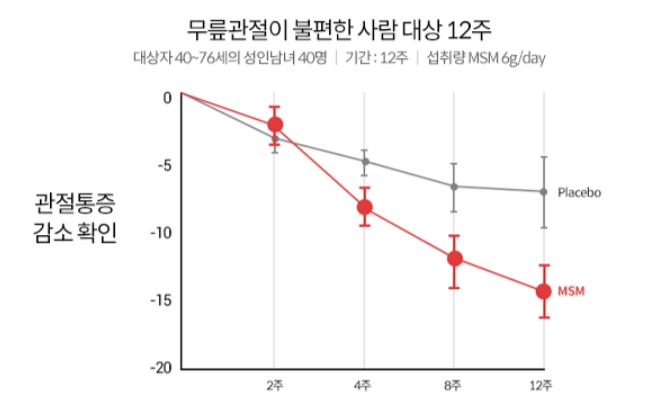 MSM 인체적용시험결과