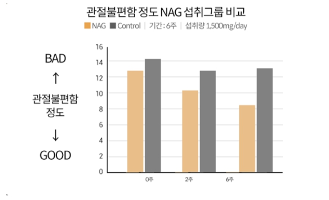 NAG 인체적용시험결과