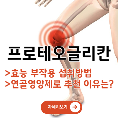 프로테오글리칸 효능 5가지와 부작용(연골 영양제로 추천하는 이유는)