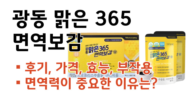 광동 맑은 365 면역보감 가격 효능 후기 부작용(면역력이 중요한 이유는)