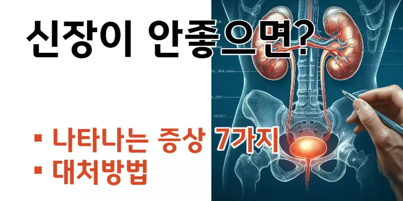 신장이 안좋으면 나타나는 증상 7가지, 대처방법