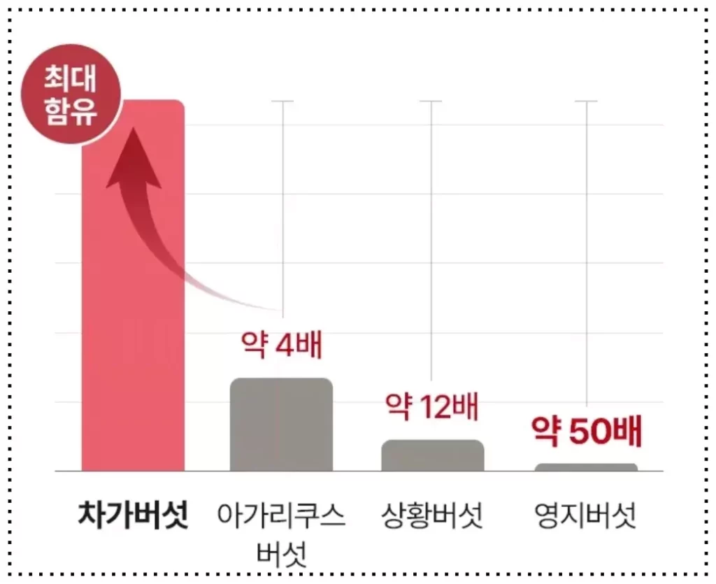 오다다 슈퍼림포티 효과 차가버섯 베타글루칸 함량