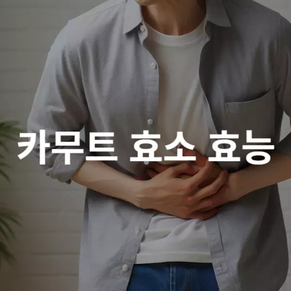 카무트 효소 효능 