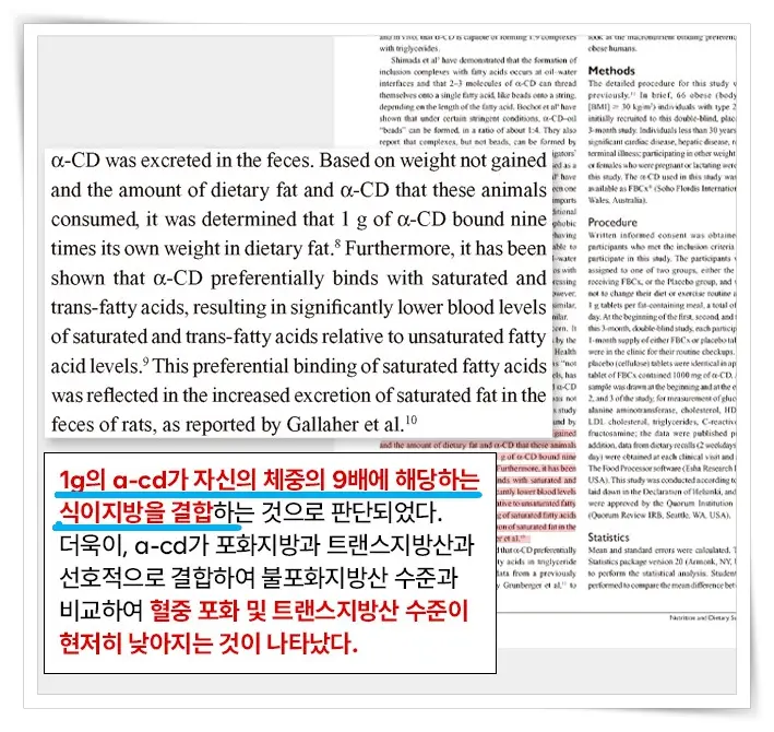 노슈가노팻 알파사이클로덱스트린 논문