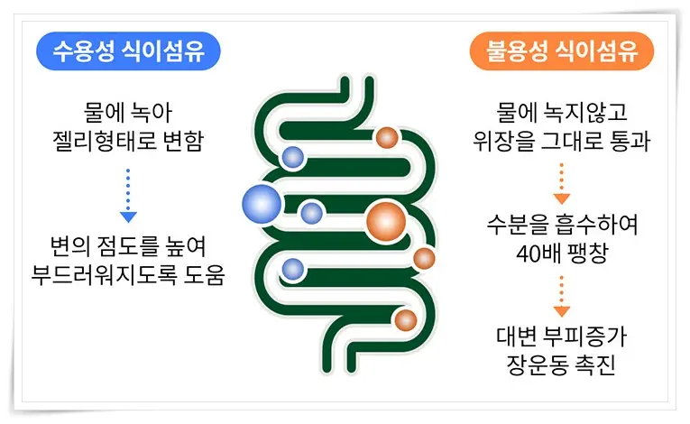 뉴티 차전자피 수용성, 불용성 식이섬유