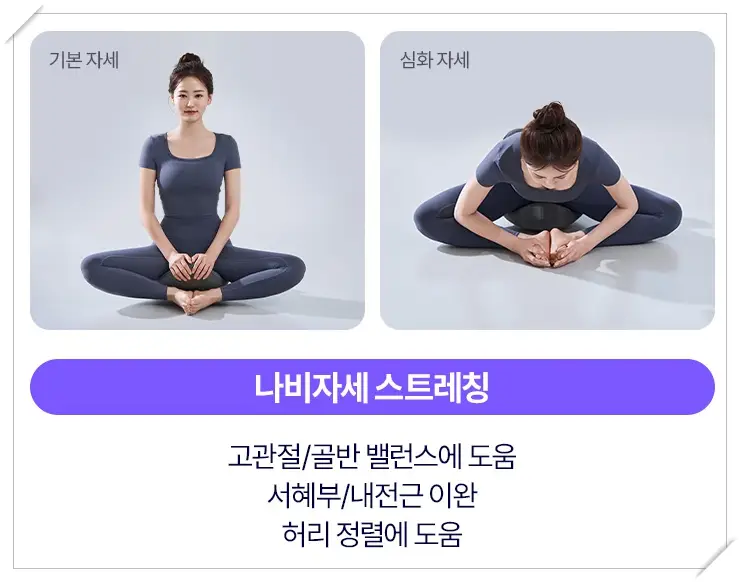 에르고바디 벨라핌코어 사용법_나비자세 스트레칭